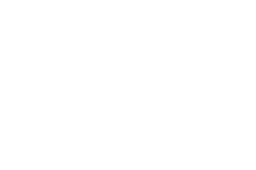 cash icon white